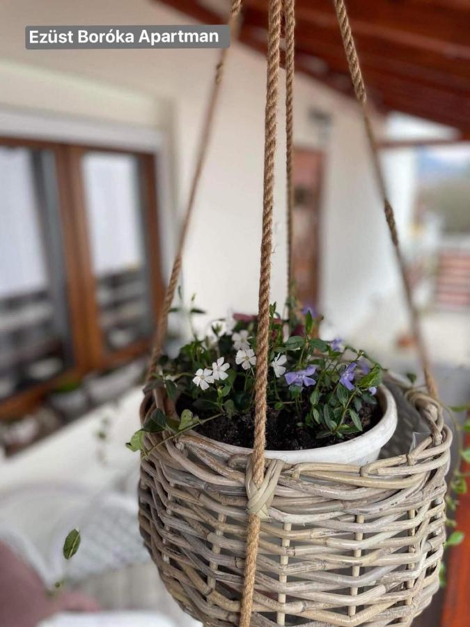 Ezuest Boroka Apartman Eger Exteriér fotografie